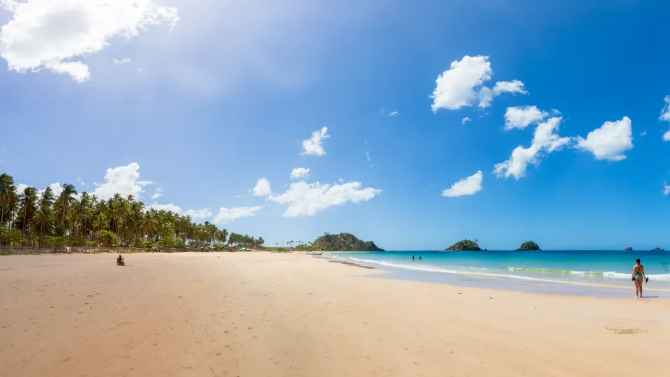 Panoramatický pohled na Nacpan Beach na Filipínách, s širokou písčitou pláží, tyrkysovým mořem a ikonickými dvojčaty ostrovů u pobřeží. Několik lidí se koupe nebo prochází podél vody, zatímco v levé části obrázku roste hustý háj kokosových palem. Slunečné počasí a jasná obloha vytvářejí dokonalou tropickou scenérii.