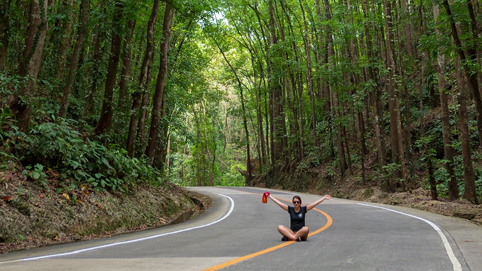 Silnice vedoucí skrz umělý les Man-Made Forest na ostrově Bohol, Filipíny. Vysoké, symetrické mahagonové stromy vytvářejí tunel svěží zeleně, zatímco na silnici sedí osoba s nataženými pažemi.