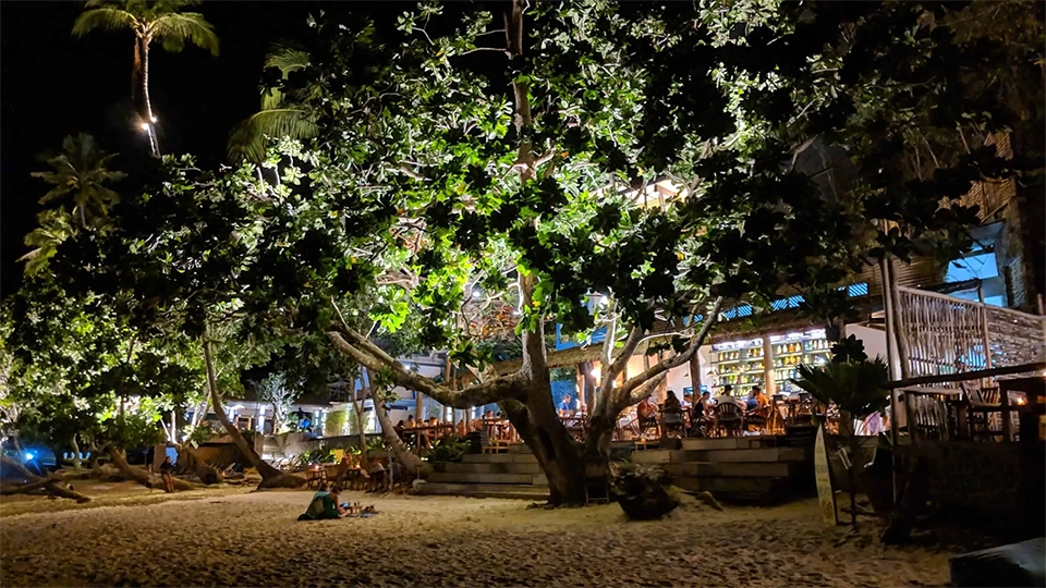 Noční pohled na plážový bar v Las Cabañas Beach na Palawanu, s kouzelným osvětlením pod mohutným rozvětveným stromem. Lidé sedí v otevřeném baru, kde jsou vidět láhve alkoholu na poličkách. Písčité pobřeží, palmy a jemné osvětlení vytvářejí příjemnou tropickou atmosféru nočního života.