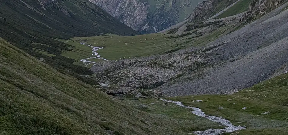Horské údolí v Kyrgyzstánu plné rozkvetlých alpských květin v popředí, mezi kterými dominují bílé a fialové květiny se zelenými stonky. Za nimi se rozprostírá zelené údolí s klikatícím se horským potokem a skalnatými horami v pozadí, osvětlenými zlatavým slunečním světlem. Tato scenérie zachycuje nádhernou a nedotčenou přírodu Kyrgyzstánu, typickou pro jeho vysokohorské oblasti. Jasná modrá obloha s jemnými mraky dodává obrázku atmosféru pokoje a divoké krásy.